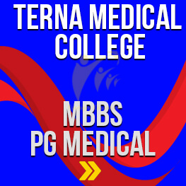 Terna medical college 